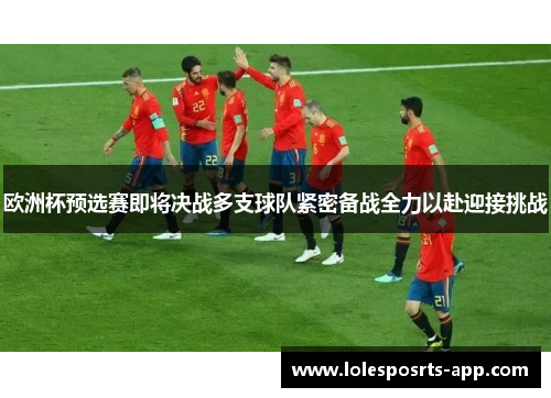 欧洲杯预选赛即将决战多支球队紧密备战全力以赴迎接挑战
