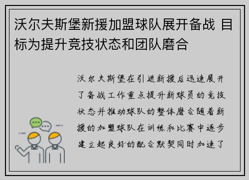 沃尔夫斯堡新援加盟球队展开备战 目标为提升竞技状态和团队磨合