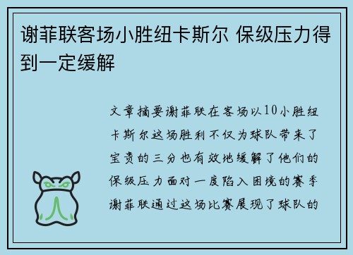 谢菲联客场小胜纽卡斯尔 保级压力得到一定缓解