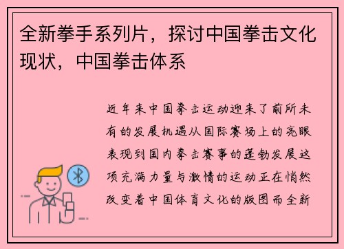 全新拳手系列片，探讨中国拳击文化现状，中国拳击体系