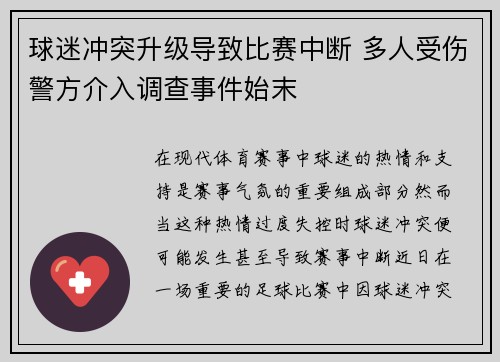 球迷冲突升级导致比赛中断 多人受伤警方介入调查事件始末